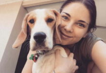 Call for city animal shelter