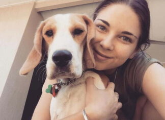 Call for city animal shelter