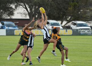 Strong wins for Peckers and Tigers