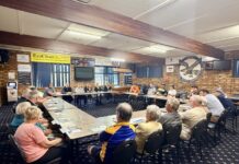 Working group formed for precinct