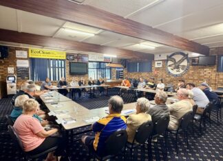 Working group formed for precinct