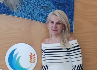 Playground primed for upgrades