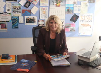 Wingard Terrace in focus