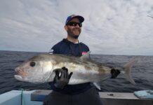 Tuna playing hard to get