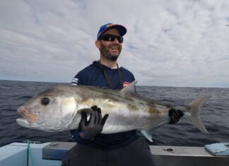 Tuna playing hard to get