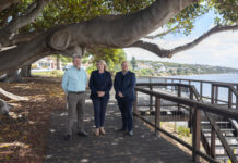 Funding secured for foreshore upgrades