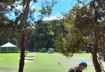 Devi the countback queen