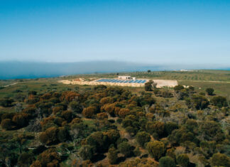 Environmental certification for Rumi on Louth