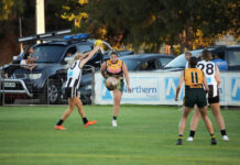 Peckers claim grand final spot
