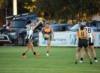 Peckers claim grand final spot