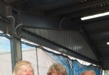 BMW just better than Hyundai