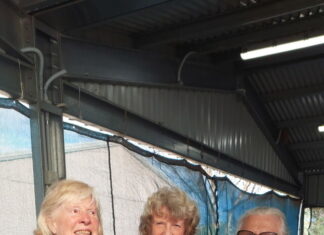 BMW just better than Hyundai