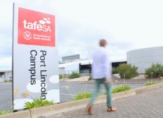 Program brought back