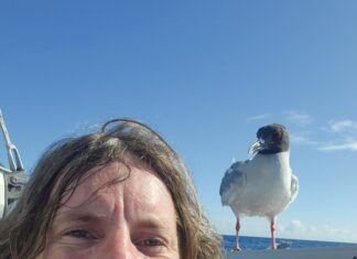 Dan conquers the world