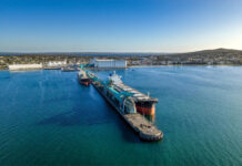 Bunge hits shipping milestone