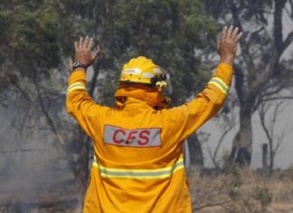 Grants program to support CFS volunteers