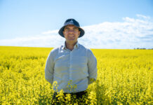 Report highlights increased role of canola in biofuel future