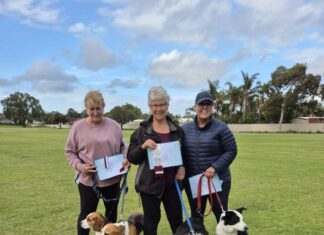 Dogs do region proud