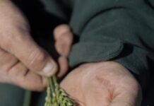 Inaugural grain sustainability report unveiled