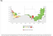 Growers urged to act to reduce mice activity