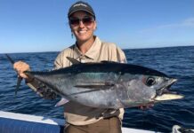 Whiting caught across region