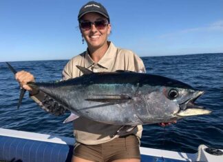 Whiting caught across region
