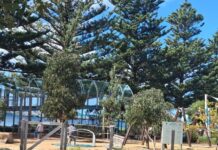 Playground to close for maintenance work
