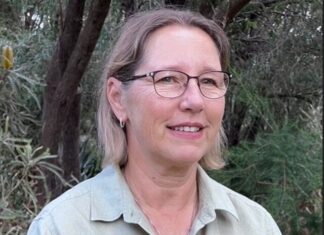 Airport chief appointed