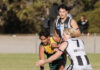 Finals return in mind for Mallee Park
