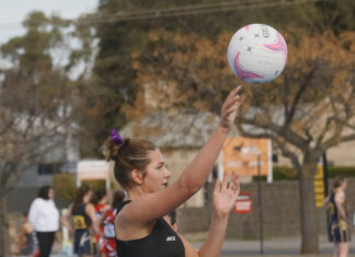 Ready, set, roar into season