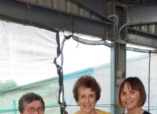 Hyundai wins thriller