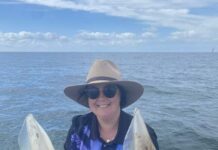 Squid seen in strong numbers