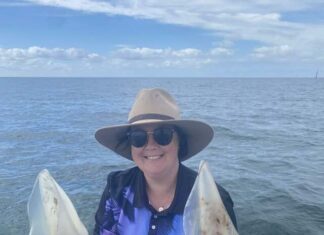 Squid seen in strong numbers