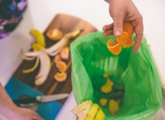 Groups can help deliver FOGO rollout