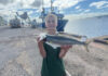 Salmon and snook well stocked