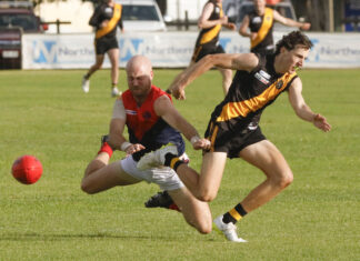 Demons dial in to down Tigers
